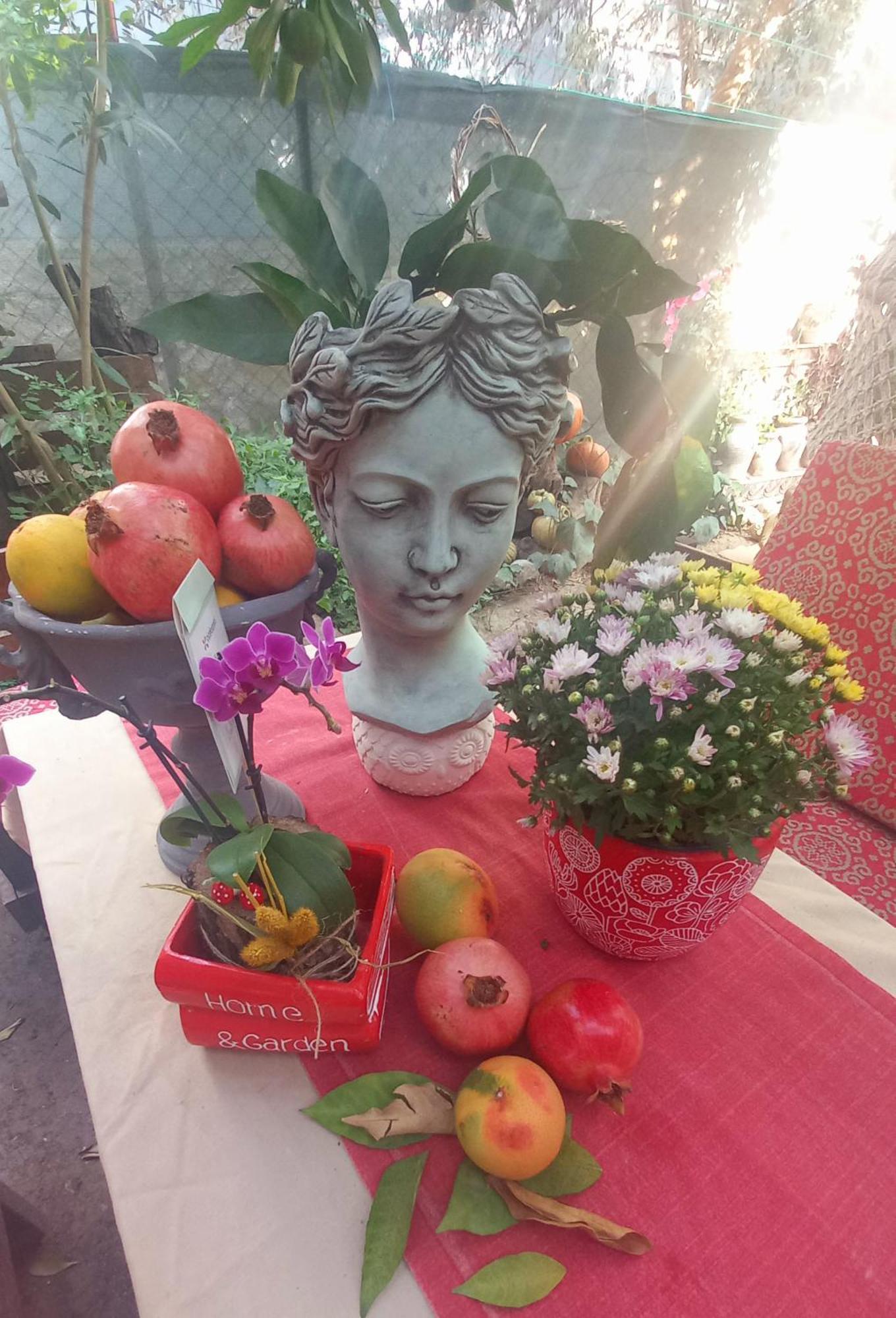 Demeter Rose Stonehouse Pansion Lägenhet Antalya Exteriör bild