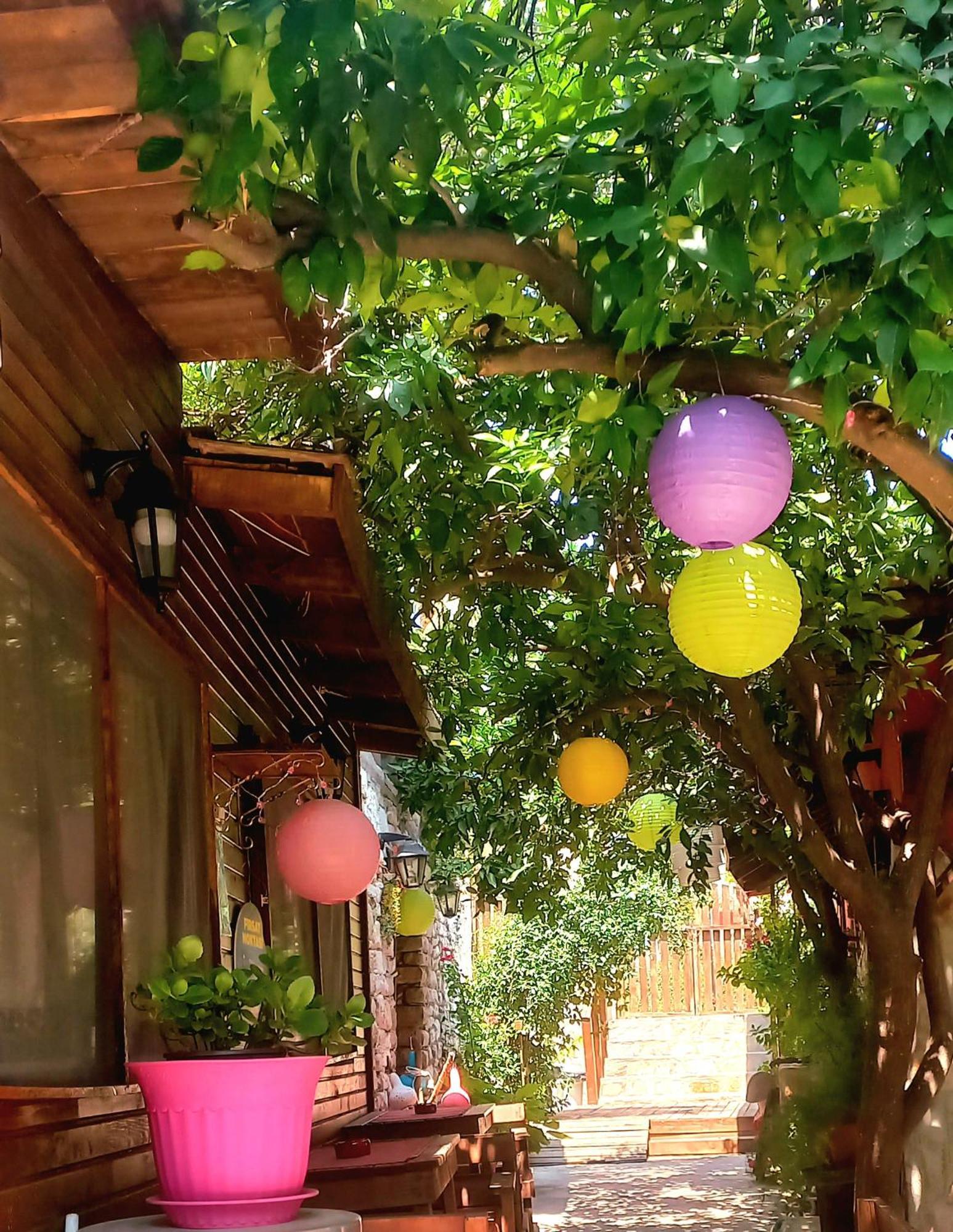 Demeter Rose Stonehouse Pansion Lägenhet Antalya Exteriör bild