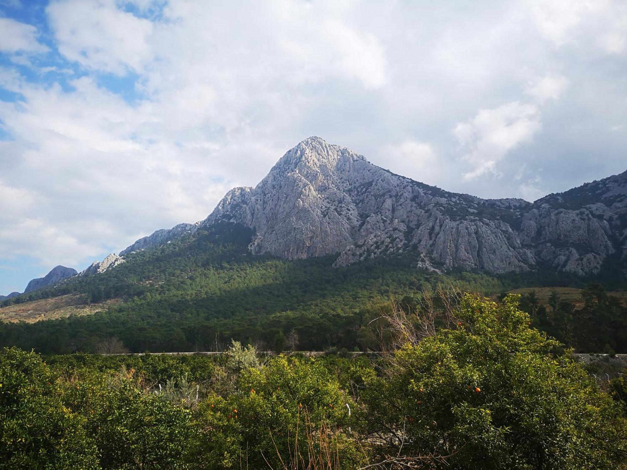 Demeter Rose Stonehouse Pansion Lägenhet Antalya Exteriör bild