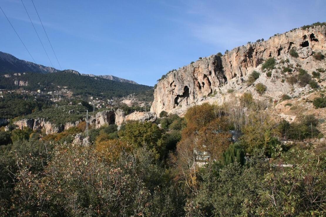 Demeter Rose Stonehouse Pansion Lägenhet Antalya Exteriör bild