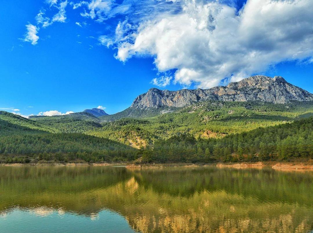 Demeter Rose Stonehouse Pansion Lägenhet Antalya Exteriör bild