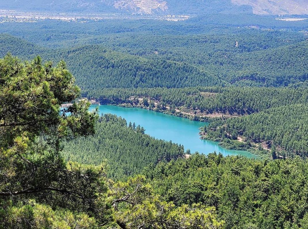 Demeter Rose Stonehouse Pansion Lägenhet Antalya Exteriör bild