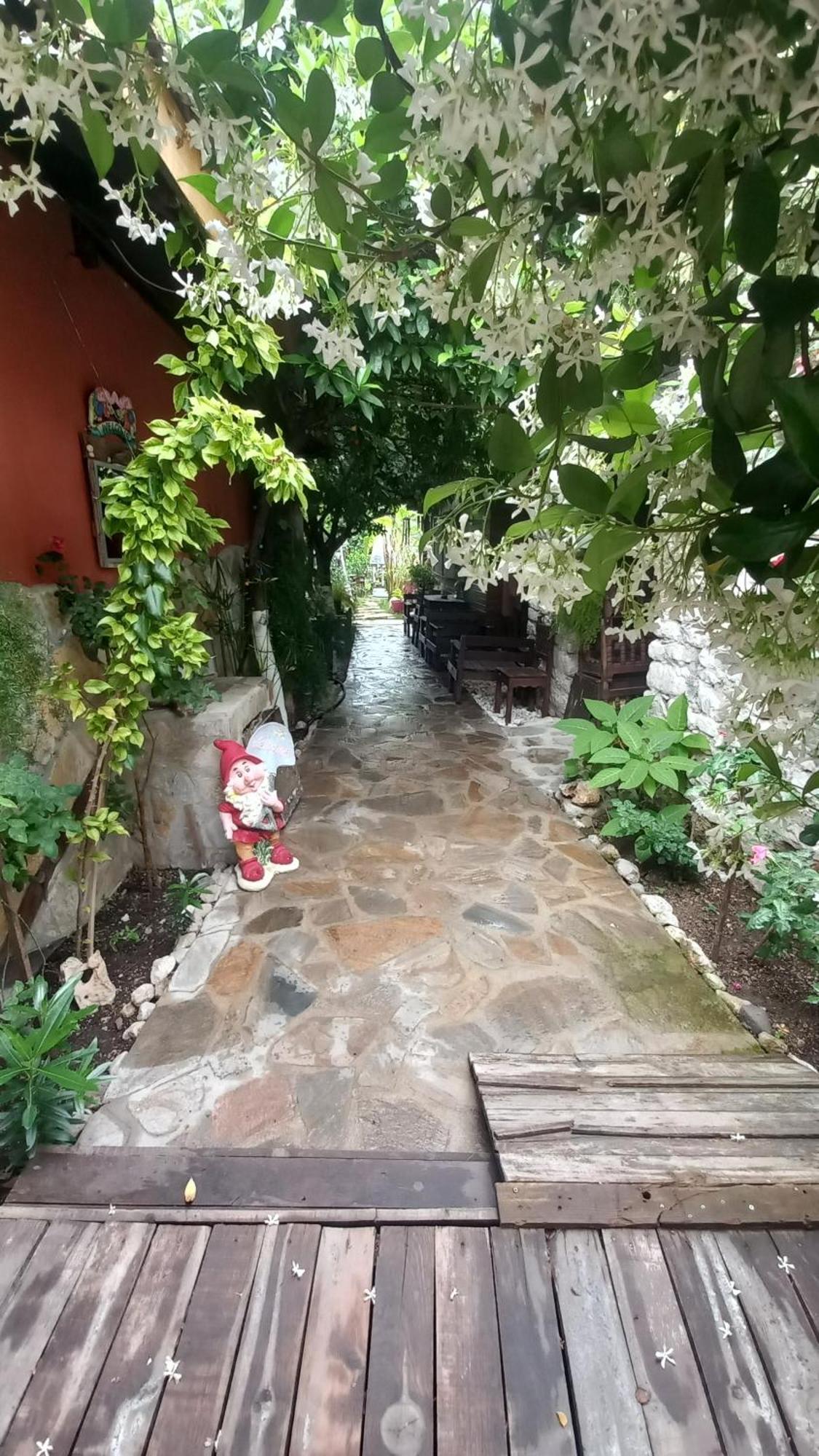 Demeter Rose Stonehouse Pansion Lägenhet Antalya Exteriör bild